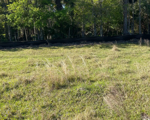 Grassy field with tall patches, trees, and black fence.