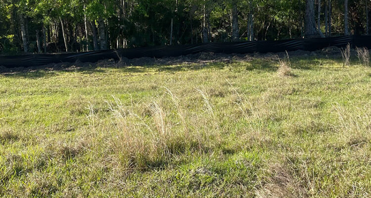 Grassy field with tall patches, trees, and black fence.