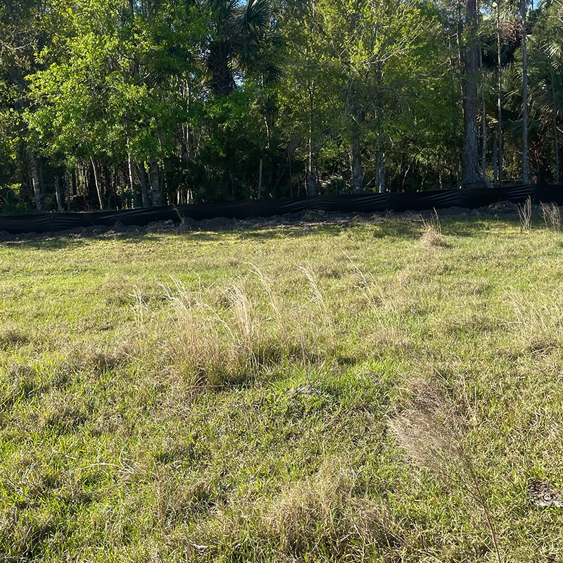 Grassy field with tall patches, trees, and black fence.