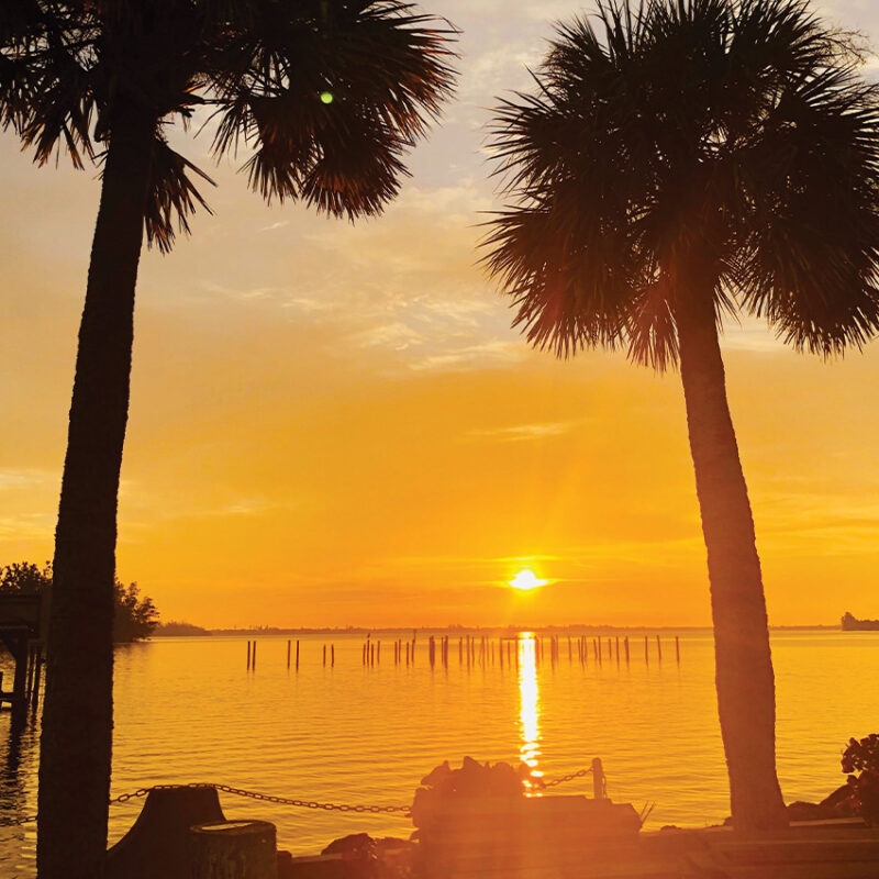 Sunset behind palm trees over calm water and wooden posts.